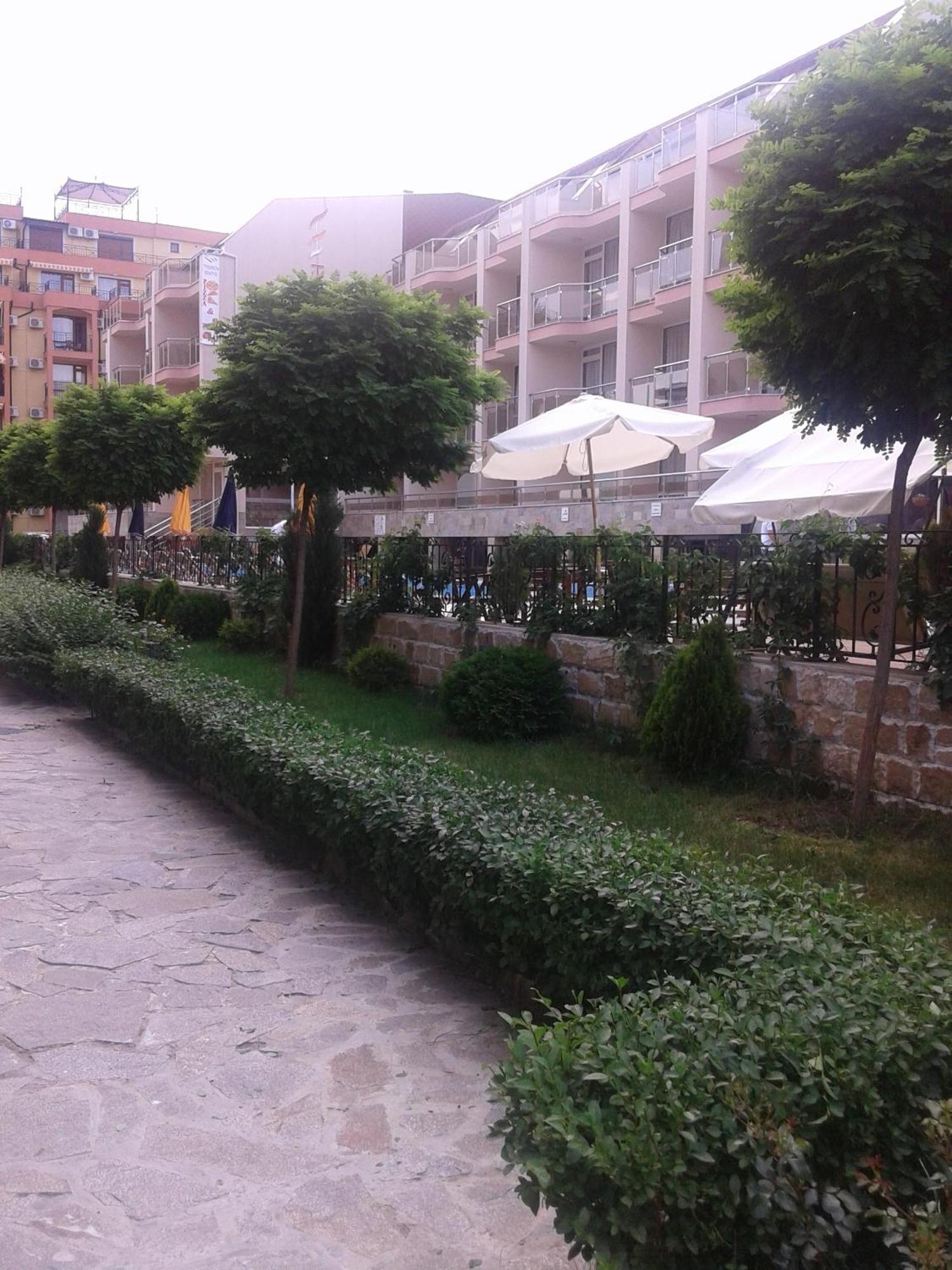 Antorini Apartments Sveti Vlas Rum bild